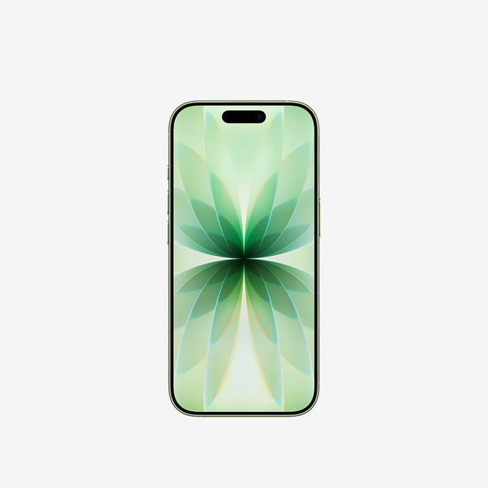 iPhone 17