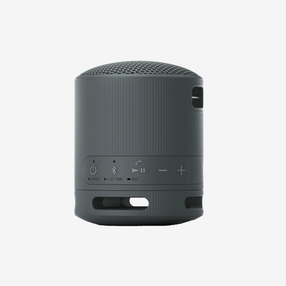 SRS-XB100 Portable Speaker