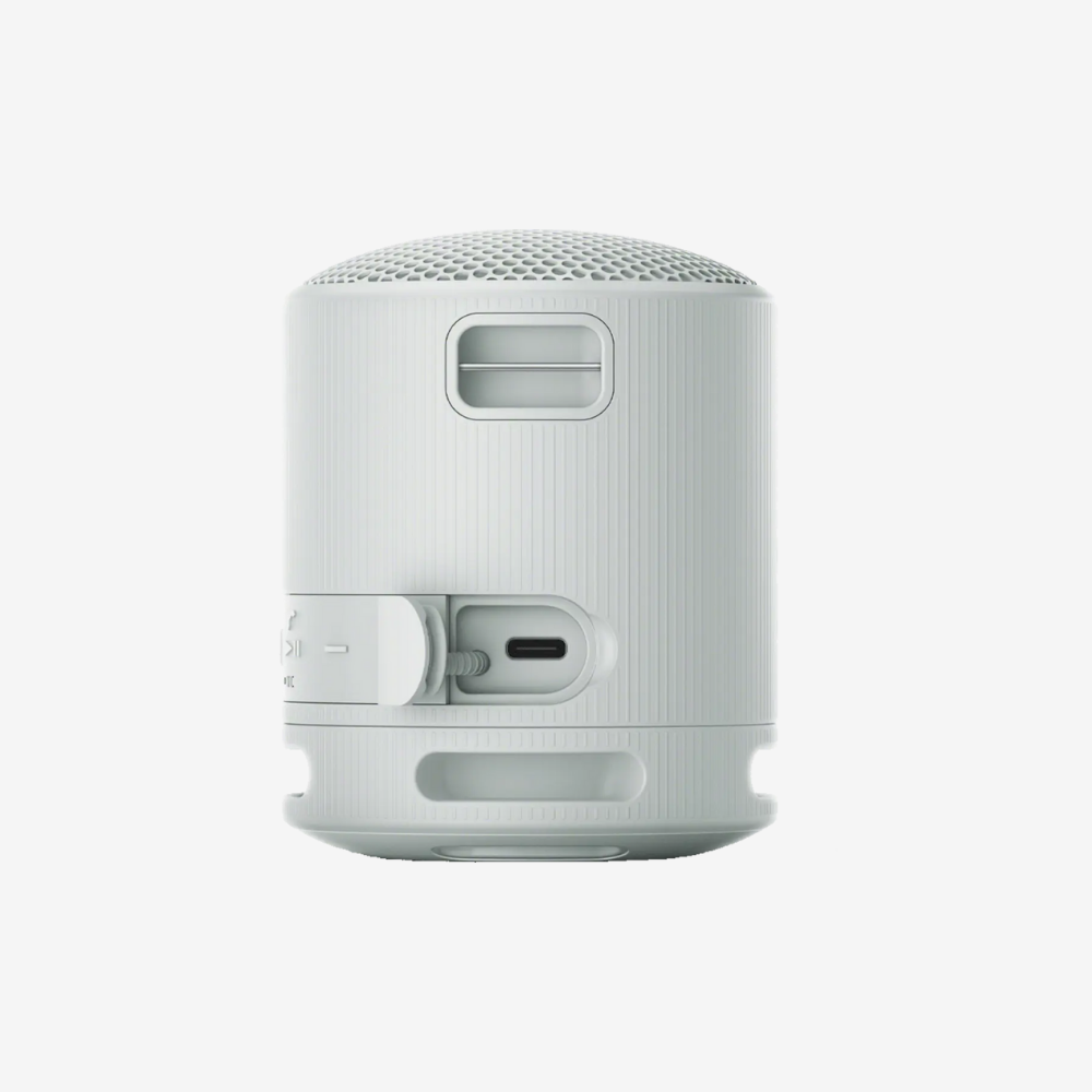 SRS-XB100 Portable Speaker