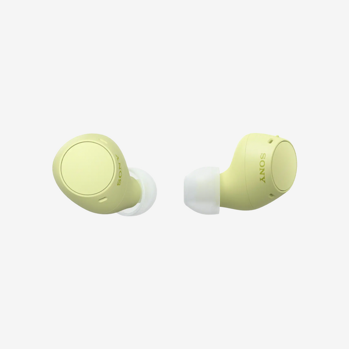 WF-C510 True Wireless Earbuds