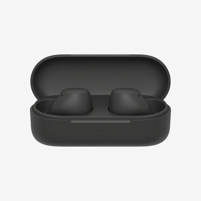 WF-C510 True Wireless Earbuds