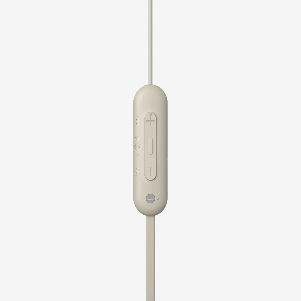 WI-C100 In-Ear Wireless Headphones