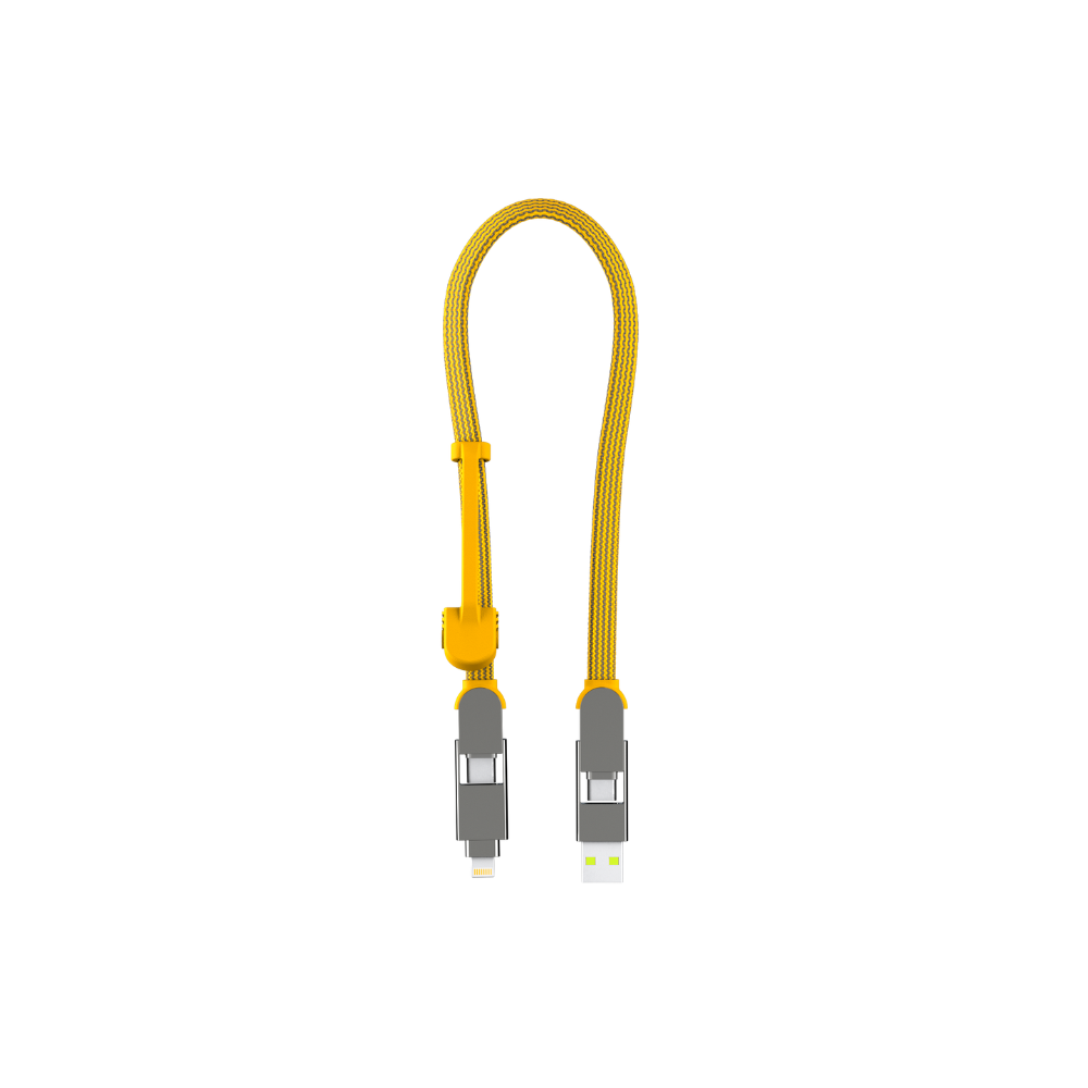 Incharge XL Cable 30cm