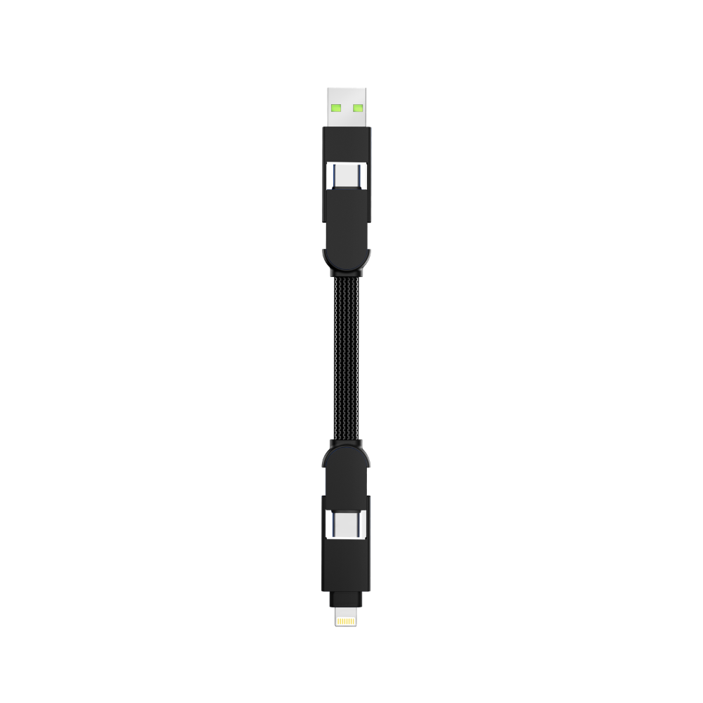Incharge X Multi Tip 4-in-1 Cable 100W