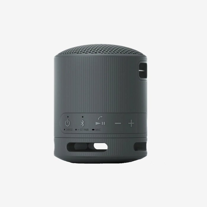 SRS-XB100 Portable Speaker