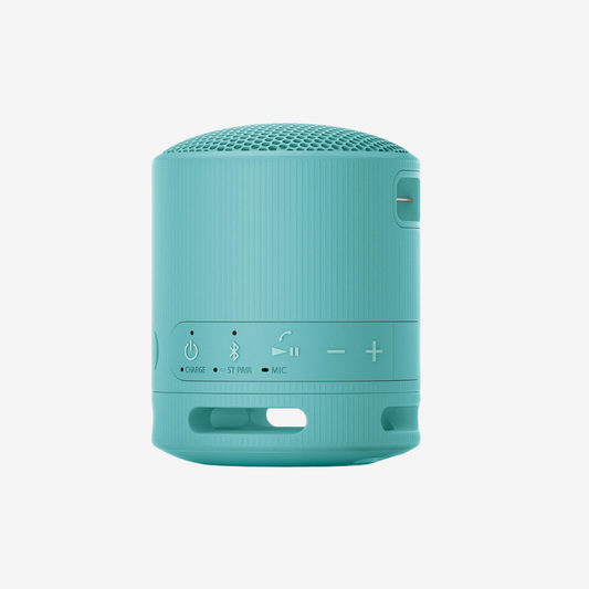 SRS-XB100 Portable Speaker