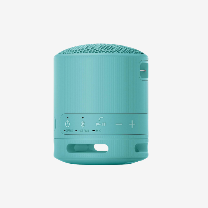 SRS-XB100 Portable Speaker