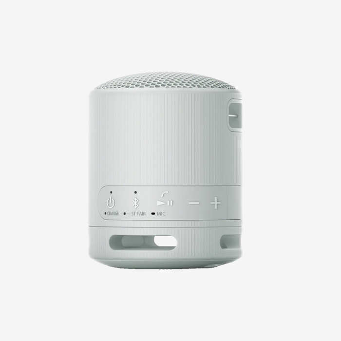 SRS-XB100 Portable Speaker