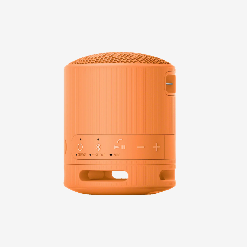 SRS-XB100 Portable Speaker
