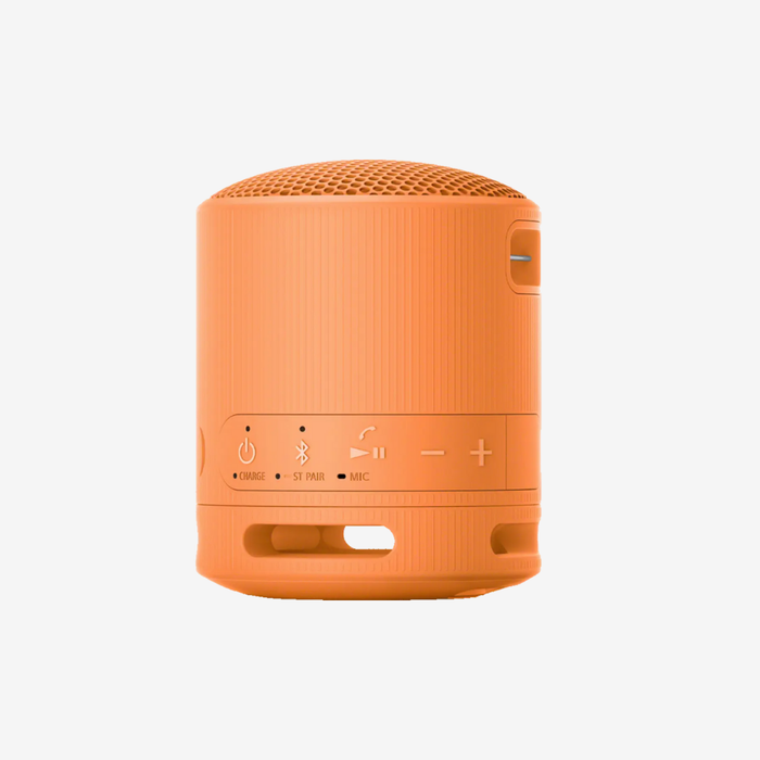 SRS-XB100 Portable Speaker
