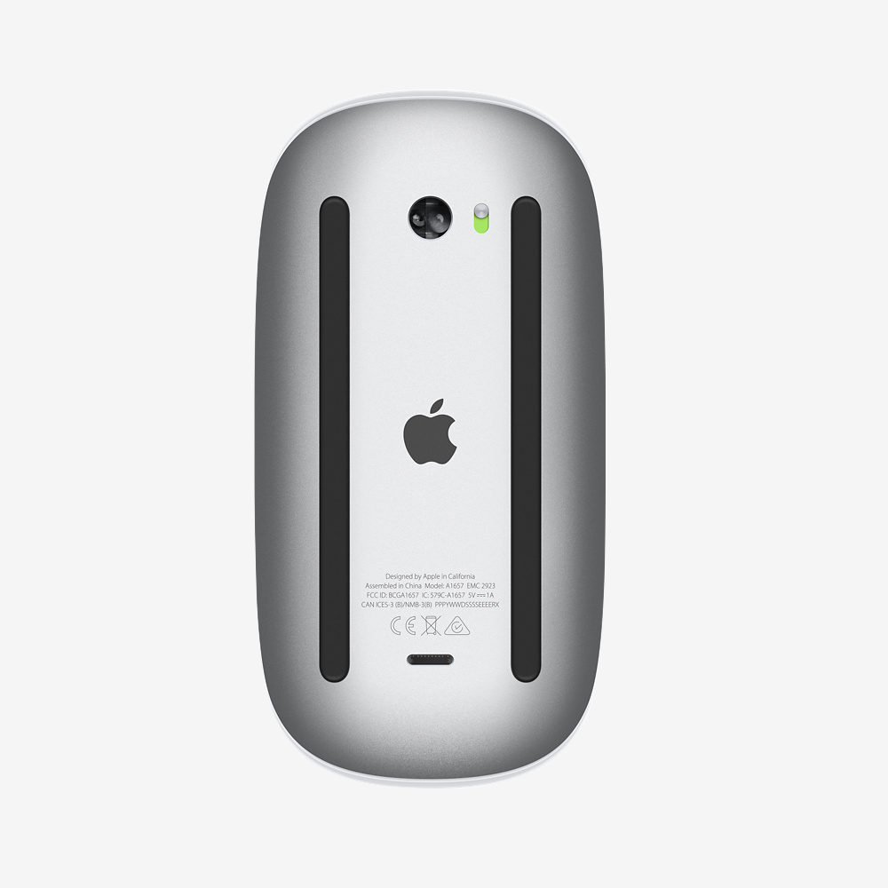 Magic Mouse (2021)