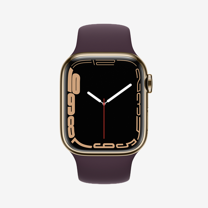 Watch Series 7 GPS + Cellular Stainless Steel Sport Band