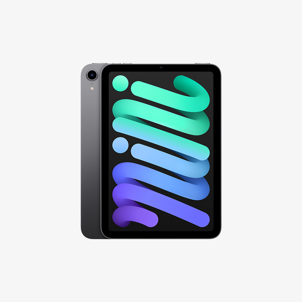 iPad mini (6th Gen)